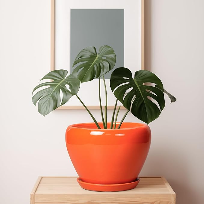 Ceramic Pot for Plants - Image 7