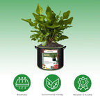 2-Pack 30 Gallon Plant Grow Bags, Thickened Nonwoven Fabric Pots - Image 5