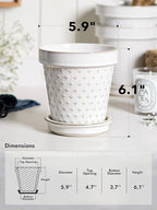 LE TAUCI Ceramic Plant Pots, 6 Inch Flower Pot - Image 3