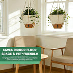 Self-Watering Hanging Planters for Indoor Plants Set 2-Piece Includes Plant - Image 4