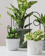 Small Plant Trellis for Climbing Plants Indoor - Image 3