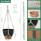 Self-Watering Hanging Planters for Indoor Plants Set 2-Piece Includes Plant - Image 3