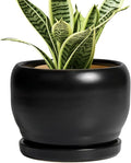 SQOWL Ceramic Plant Pot by SQOWL