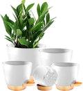 5-Pack Plant Pots with Drainage by Unknown