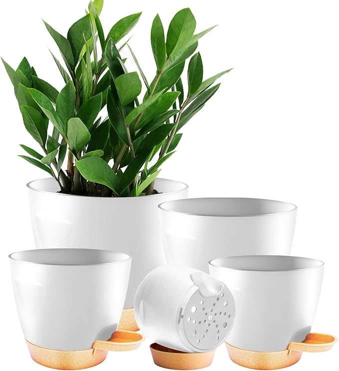 5-Pack Plant Pots with Drainage by Unknown