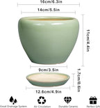 6 Inch Plant Pot - Image 3