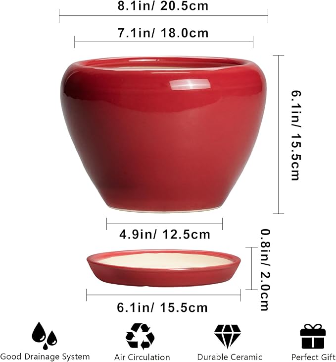 Ceramic Planter for Indoor Plants 8 Inch - Image 3