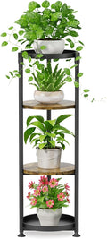 iDavosic.ly 4 Tier Corner Plant Stand Indoor, 45 Inch Tall Vertical Metal by iDavosicly
