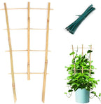 Plant Trellis Indoor, 3 Pack Bamboo Trellises, 16in Fan-Shaped Trellis by Cambaverd