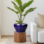 Ceramic Pot for Plants - Image 7