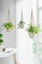 Dahey Macrame Plant Hanger Set of 3 - Image 2
