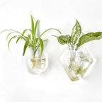 Mkono Wall Planter Propagation Stations Hanging Glass Terrariums Vase Container - Image 8