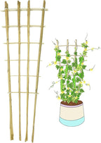 Natural Bamboo Trellis, Fan-Shaped Plant Support Trellis by GUANGYE