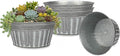 vensovo 10 Inches Silver Metal Rustic Plant Pots by vensovo