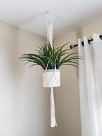 Cuttte Macrame Plant Hanger, Indoor Outdoor Hanging Planter Basket, Hanging - Image 8