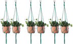 ELANE 6PCS Macrame Plant Hanger Indoor Hanging Planter Basket Decorative by ELANE