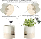 Nihow Self Watering Plant Pot: 8 Inch Ceramic Planter - Image 4