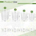 4/5/6/7 Inch Clear Nursery Pots - Image 2