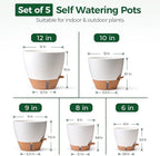 T4U 5 Pack Self Watering Pots - Image 3