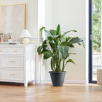 12 Inch Plant Pots, Large Planters - Image 6