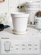 LE TAUCI Ceramic Plant Pots, 4.9 Inch Flower Pots - Image 3