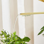 Watering Can for Indoor Plants, 50 oz/1.5L Stainless Steel Watering Can Pot - Image 5