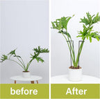 10 Pack Large Iron Monstera Trellis - Image 4