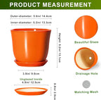 5.6 Inch Plant Pot - Image 2