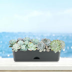 6 Pack Rectangle Planter 16x4.4 Inch Window Boxes Planters Rectangular Large - Image 7