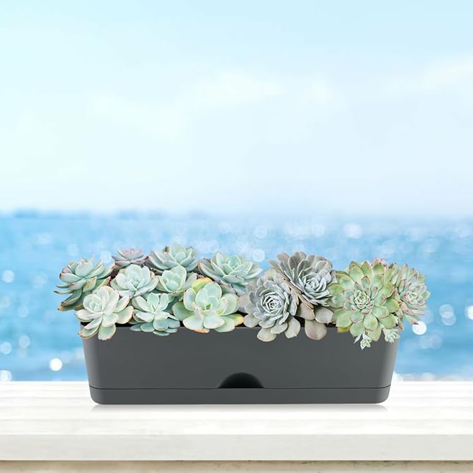 6 Pack Rectangle Planter 16x4.4 Inch Window Boxes Planters Rectangular Large - Image 7