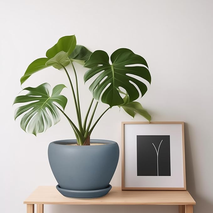 Ceramic Pot for Plants - Image 8