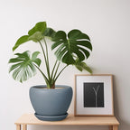 Ceramic Pot for Plants - Image 8