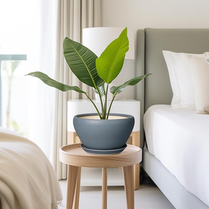 Ceramic Pots for Plants - Image 7