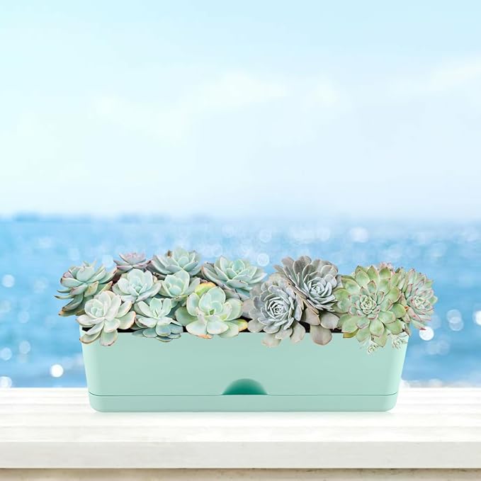 6 Pack Rectangle Planter 16 Inch Window Boxes Planters Rectangular Large Window - Image 6