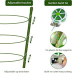 4 Pack Tomato Cage for Garden Plant Support, 24 inches Small Tomato Cages - Image 3