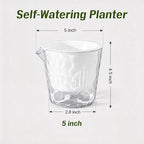 InmeRun Plant Pots Indoor Plastic Flower Pots Outdoor 5 inch Set of 6 Pack - Image 5