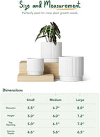 LE TAUCI Ceramic Pots for Plants, 8+6.7+5.5 Inch Plant Pots Indoor, Flower Pot - Image 5