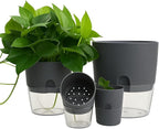 Self Watering Planter Pot with Upgraded Wick System – Modern Indoor Plant Pot - Image 8