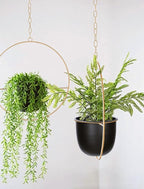 2 Pack Hanging Planters for Indoor Plants - Image 2