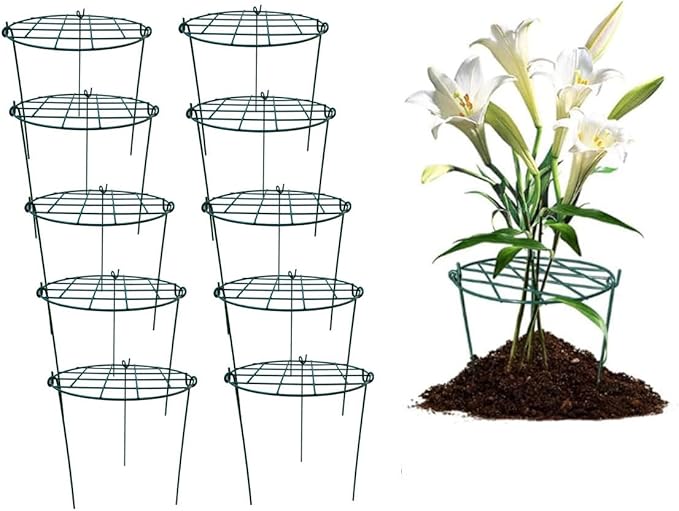 MTB Supply 10 Pack 16 x 24 inch Peony Cages, Grow Through Plant Support Stakes by MTBSUPPLY