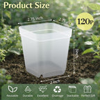 120 Packs Square Clear Nursery Pots - Image 3