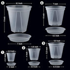 GREENPARA Transparent Plastic Garden Pots Planter - Image 2