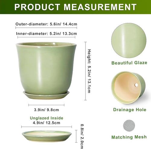 5.6 Inch Plant Pot - Image 2