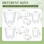 Self Watering Pots for Indoor Plants - Image 2