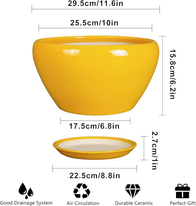Indoor Planter 11 Inch - Image 3