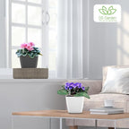 Self Watering Planters for Indoor Plants : 5 inch 6 Pack White Planter - Image 5