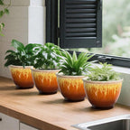 4 Pack Plastic Plant Pots Indoor - Image 6