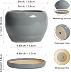 SQOWL 6 Inch Plant Pots - Image 3