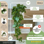 MY ROVALA Silk Plants for Home Decor Indoor in Pot Realistic Artificial Plants - Image 7