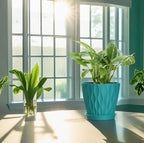 4 Inch Plant Pots, 6 Pack Indoor Flower Pots, Planters - Image 6